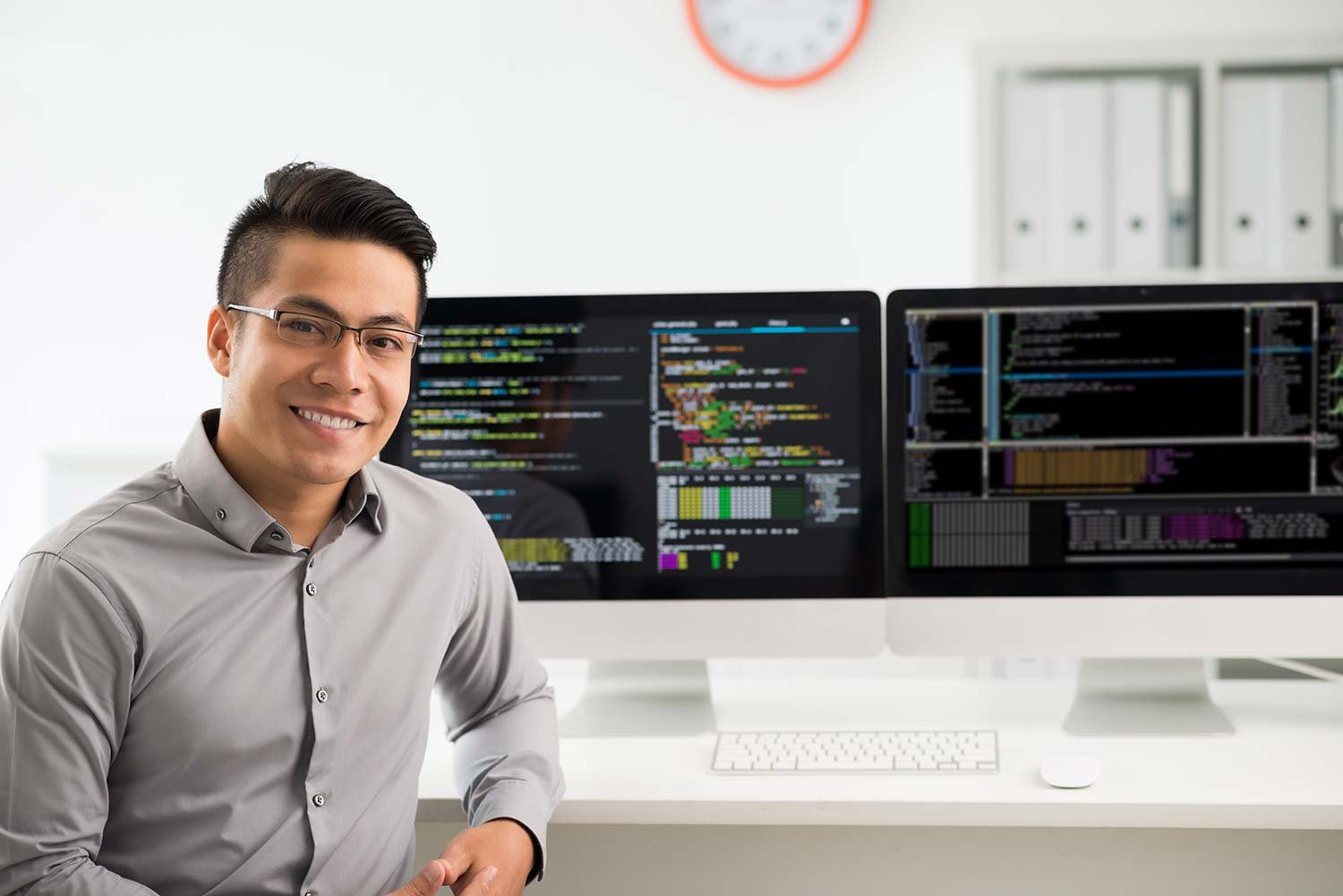 Software Consultant